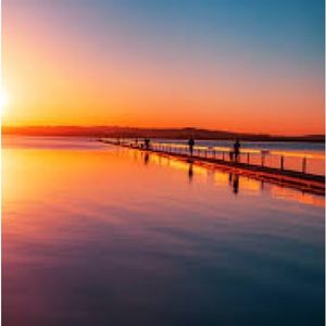 Meet your Posher, Hadley